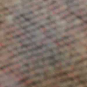 Meet your Posher, Tara